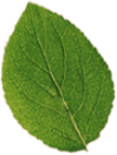 Feuille3